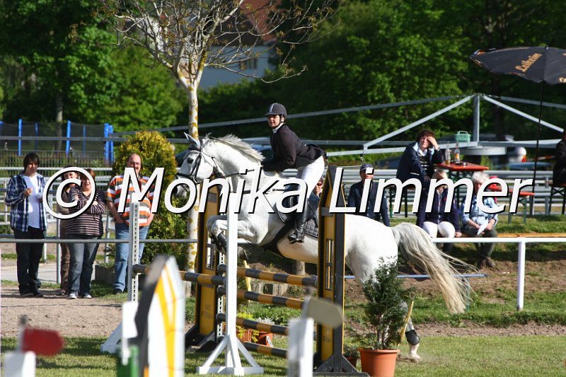 204M1786_Grandioso_Stil Axx.JPG